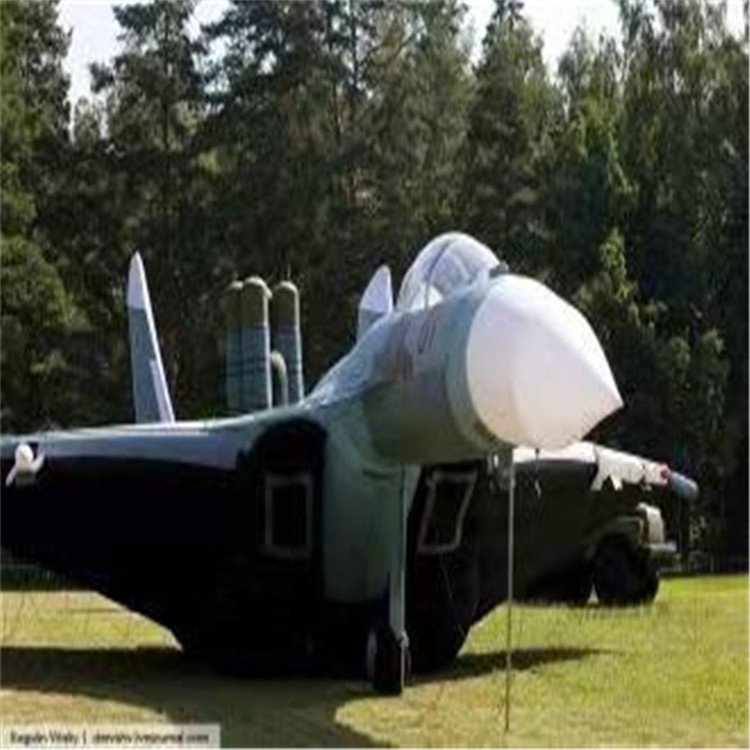 武威充气模型飞机制造商家